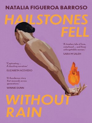 cover image of Hailstones Fell Without Rain